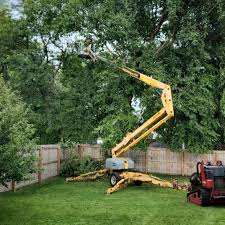 Best Leaf Removal  in Perris, CA